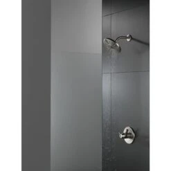 Delta 0.5-in Stainless Bathtub/Shower Diverter -Pro House Shop 034449686525 12167390 1800x1800