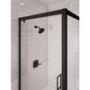 Delta Stryke Matte Black 1-handle Shower Faucet -Pro House Shop 034449888233 10023821 1800x1800