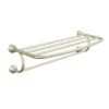Moen Eva Brushed Nickel Wall Mount Towel Rack