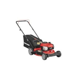 CRAFTSMAN M110 140-cc 21-in Push Gas Push Lawn Mower With Briggs & Stratton Engine