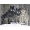 Wolf Wolves Ceramic Tile Mural Kitchen Backsplash Bathroom Shower 403125-S43 -Pro House Shop 0be6a1be 873e 4407 823b c1abf3473d97 1.0cec6fc6d28dfd64fba5e0499f4909d8 1800x1800