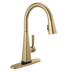 Lenta Single-Handle Pull-Down Sprayer Kitchen Faucet With ShieldSpray Technology SpotShield Stainless -Pro House Shop 0fad9abf1be72510c792511733d1305f 7bb7d156 9495 4ade 86c9 65ce47b9e011 1800x1800