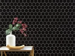 Black Matte 2 In. Hexagon Porcelain Mosaic -Pro House Shop 100782390 context 1800x1800