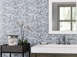 Multi Gray Polished Porcelain Penny Mosaic -Pro House Shop 100837038 context 1800x1800
