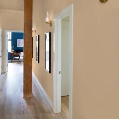 ColorPlace ULTRA Interior Paint & Primer, Warm Caramel, Semi-Gloss, 1 Gallon -Pro House Shop 2238e4d3 3b5f 4ea0 8670 c040f77b7052.c995f042c2e7192372f9c40eac32b3e7 1800x1800