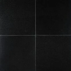 MSI Absolute Black 12 In. X 12 In. Polished Granite Floor And Wall Tile (10 Sq. Ft. / Case)