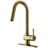 Gramercy Single-Handle Pull-Down Sprayer Kitchen Faucet With Deck Plate In Matte Gold