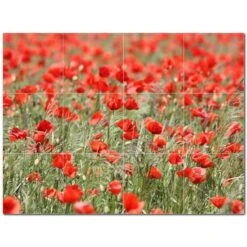 Flowers Ceramic Tile Mural Kitchen Backsplash Bathroom Shower 402538-S43