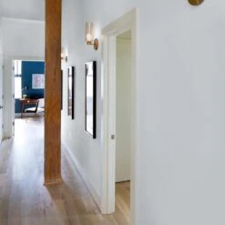 ColorPlace ULTRA Interior Paint & Primer, Silver Reflection, Satin, 1 Gallon -Pro House Shop 452d9947 666c 454a a061 fbfa18da28c8.54b8574ac4b95d8636f44c0c7137632c 1800x1800