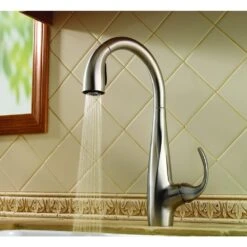Avanti Single-Handle Pull-Down Sprayer Kitchen Faucet In Stainless Steel -Pro House Shop 457710d6f4e5eeb6c01fd631e90d0cf8 1800x1800