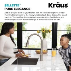 Sellette Single-Handle Pull-Down Sprayer Kitchen Faucet With Dual Function Sprayhead In Spot Free Stainless Steel -Pro House Shop 4740ba502aee3992adceb39a9ce90736 1800x1800