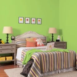Lime Freckle, Green & Sage, Paint And Primer, Glidden High Endurance Plus Interior -Pro House Shop 4a705042 a5df 4a2c acac 2d7e91868c57 1.0a4a1fae3ad702e40234f0f0437c1b46 1800x1800