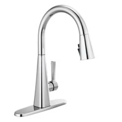 Lenta Single-Handle Pull-Down Sprayer Kitchen Faucet With ShieldSpray Technology SpotShield Stainless -Pro House Shop 645534b4c2b520168edf1db490d8ef68 8eff29d4 6dca 4f48 8ddb 3ea44dbee85f 1800x1800