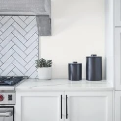 ColorPlace ULTRA Interior Paint & Primer, White, Flat, 1 Quart -Pro House Shop 6b94cf17 052e 48e0 a099 39f828f7fb3c.04c11eaaf34cd0f3edad33839d08ca02 1800x1800