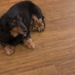 Cali Bamboo Cali Vinyl 10-Piece 7.125-in X 48.03-in Java Luxury Locking Vinyl Plank Flooring -Pro House Shop 811465027521 08071466 1800x1800