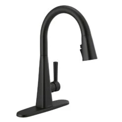Lenta Single-Handle Pull-Down Sprayer Kitchen Faucet With ShieldSpray Technology SpotShield Stainless -Pro House Shop 92891b9e83e1963ab33871de3a7d74a9 8b3b554d c236 42bf b880 4f1b516cdb59 1800x1800