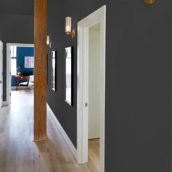 ColorPlace ULTRA Interior Paint & Primer, Onyx Black, Flat, 1 Gallon -Pro House Shop a5fc47e2 79b2 41a5 8a0d fe29f0ecbab1.83b02430d358274c1d4d3caa9be68c7c 1800x1800