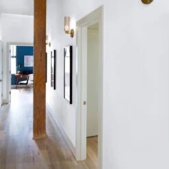 ColorPlace ULTRA Interior Paint & Primer, Cloud Motif Grey, Semi-Gloss, 1 Gallon 16 ColorPlace ULTRA Interior Paint & Primer, Cloud Motif Grey, Semi-Gloss, 1 Gallon -Pro House Shop bc8fc602 1a89 4725 9aeb 414d673a62c2.436a9d434e9567cfe33bcbc7499cadd0 1800x1800