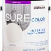 Artist's Canvas, Rust-Oleum Sure Color Interior Paint + Primer, Eggshell Finish, 2-Pack