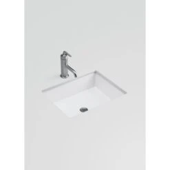 KOHLER Verticyl Vitreous China Undermount Bathroom Sink In White With Overflow Drain -Pro House Shop d19c4e3577a3deae19c4bd201b5af270 1800x1800
