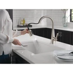 Lenta Single-Handle Pull-Down Sprayer Kitchen Faucet With ShieldSpray Technology SpotShield Stainless -Pro House Shop dbf30d1bde57a462751191cfd001a00d 1800x1800