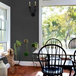 ColorPlace ULTRA Interior Paint & Primer, Onyx Black, Flat, 1 Gallon -Pro House Shop e252cffe 8700 43f8 a55f c25b928601cd.37610b144ac54f1c1019d960e7868b09 1800x1800