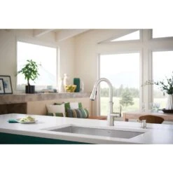 Nellis Single-Handle Pull-Down Sprayer Kitchen Faucet With Reflex And Power Clean In Spot Resist Stainless -Pro House Shop f3e94c9a0eb787ced671188013282ed3 1800x1800