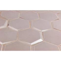 Magen Leveled-Hex Gray Polished Ceramic Hexagon Tile 10 Magen Leveled-Hex Gray Polished Ceramic Hexagon Tile -Pro House Shop f81e45f2 478c 44b5 a200 360b206a52f5.93807ec4746fcf4738e07808d35dd7be 1800x1800